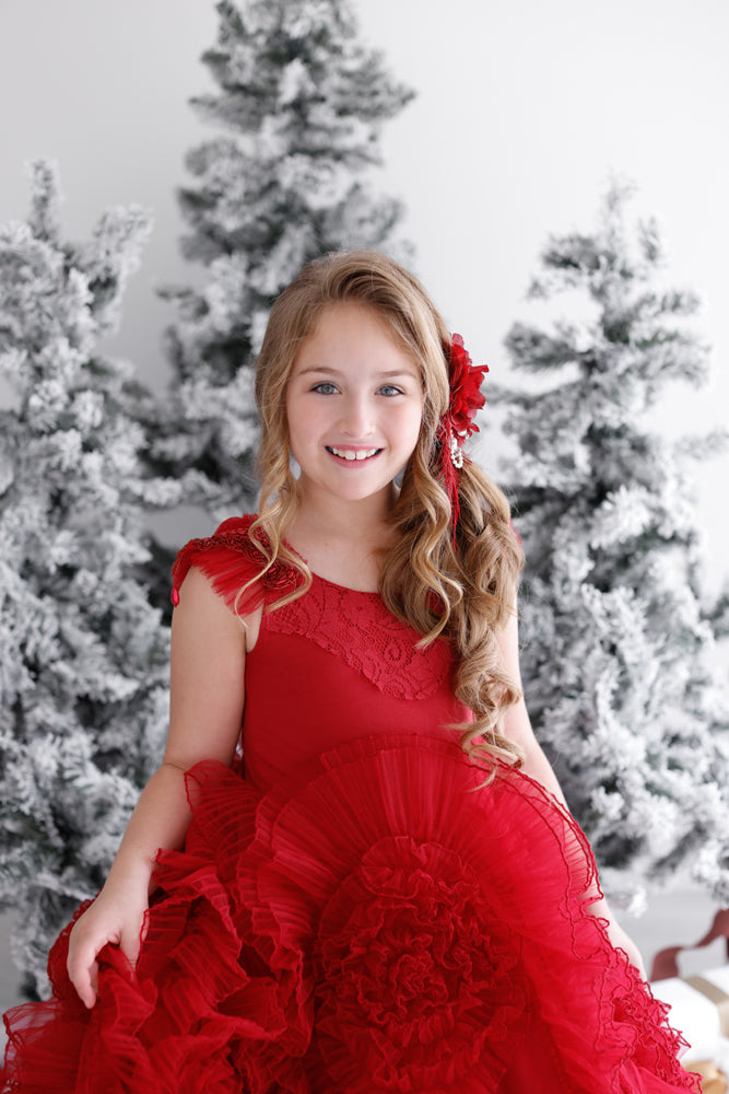 Melissa Larson Photography Christmas Photo Sessions