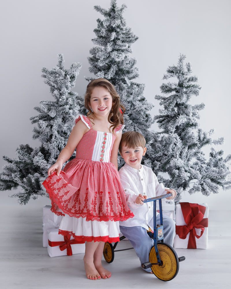 Melissa Larson Photography Christmas Photo Sessions
