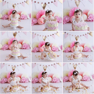 Cake Smash Session - 12 Digital Images - Melissa Larson Photography