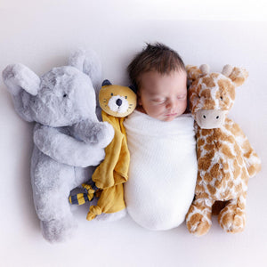 Melissa Larson Photography Perth - Newborn 